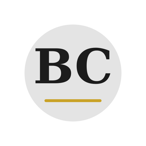 Bowen Chimney Services logo